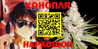 гидра Пенза