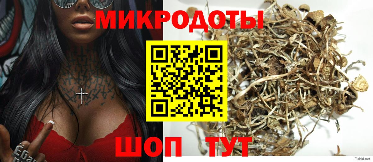 Пыть-Ях  Галлюциногенные грибы прущие грибы  Псилоцибиновые грибы мухоморы  Вход с VPN 