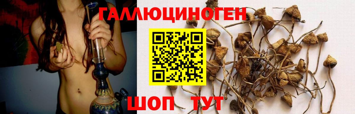 Галлюциногенные грибы мицелий Пыть-Ях